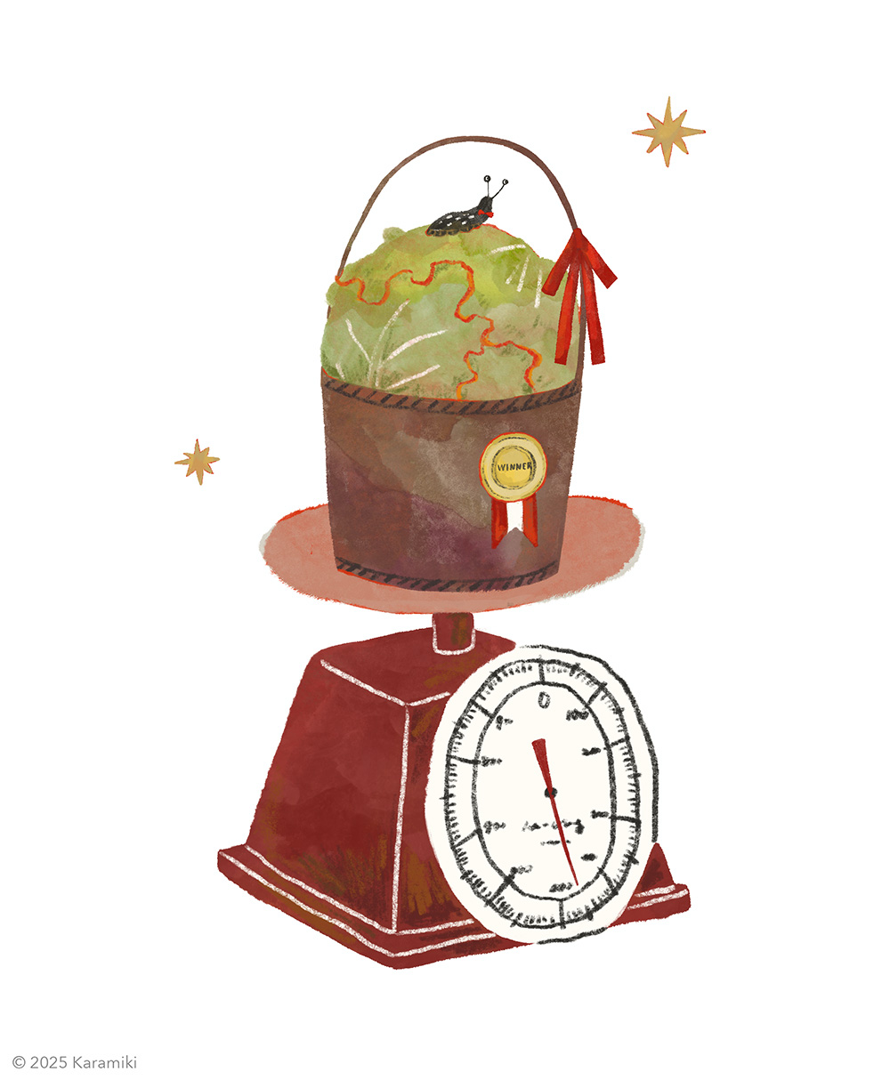 ナメクジによるレタス品評会のイラスト